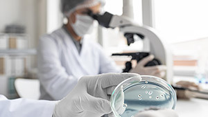 close up scientist using microscope close up scientist using microscope